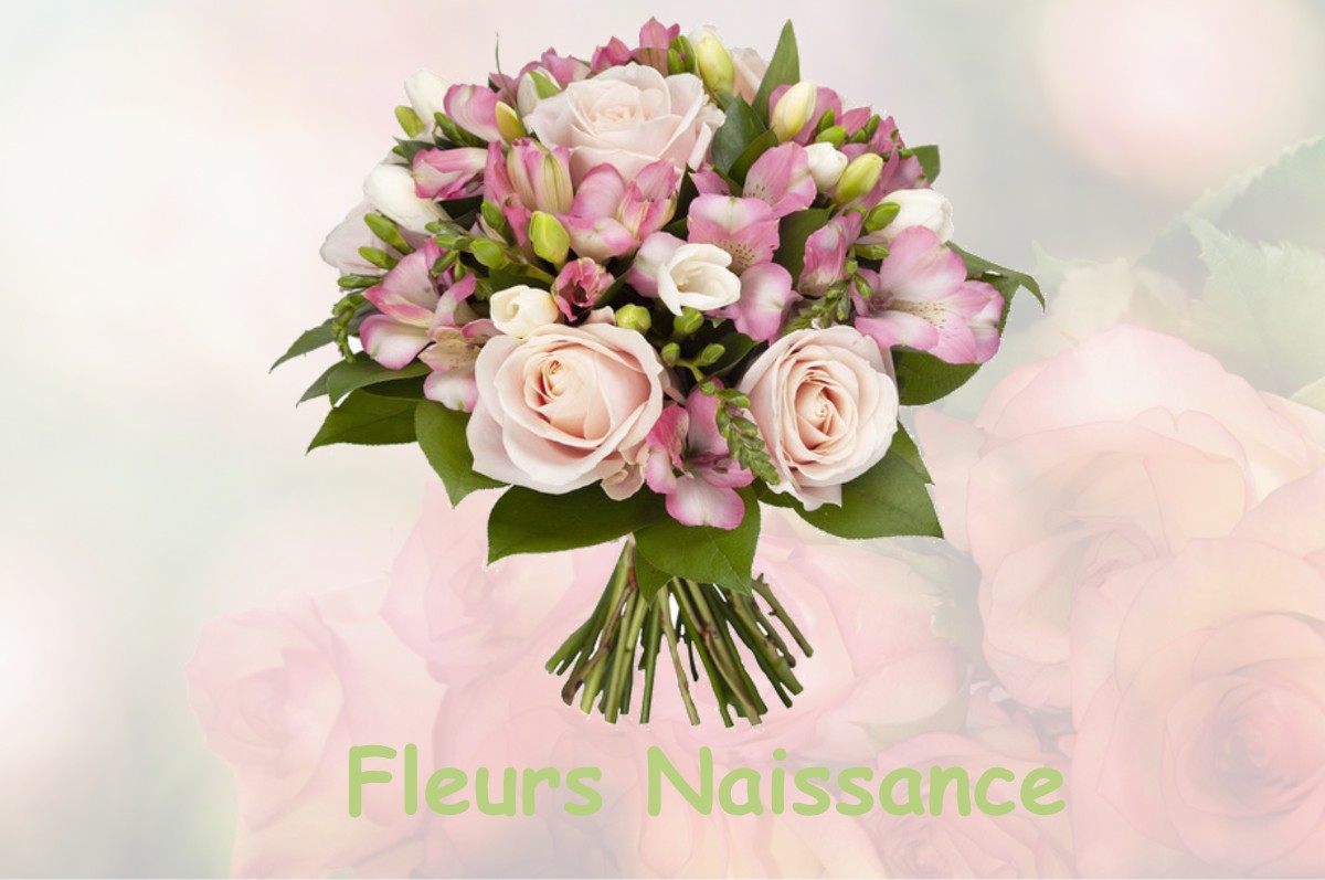 fleurs naissance CHAMOUX-SUR-GELON